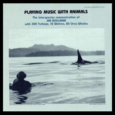Album art, Playing Music with Animals: Interspecies Communication of Jim Nollman with 300 Turkeys, 12 Wolves and 20 Orcas, Jim Nollman, 2004 Smithsonian Folkways Recordings / 1982 Folkways Records